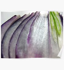 Onion Poster