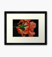 softness Framed Print
