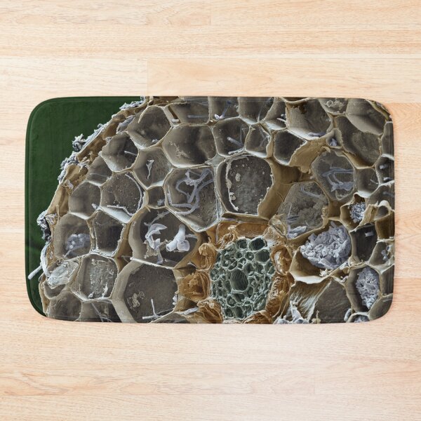 Item preview, Macro Microscope Photo of Mycorrhizal Fungus Mushroom,  SEM designed and sold by ScienceSource.