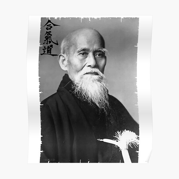 Aikido - Sensei Poster