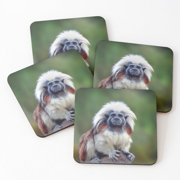 Item preview, Cotton Top Tamarin designed and sold by Savannah Gibbs.