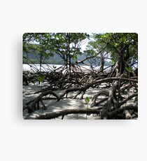 Mangroves Canvas Print