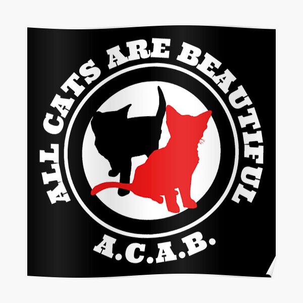 All cats are beautiful Poster