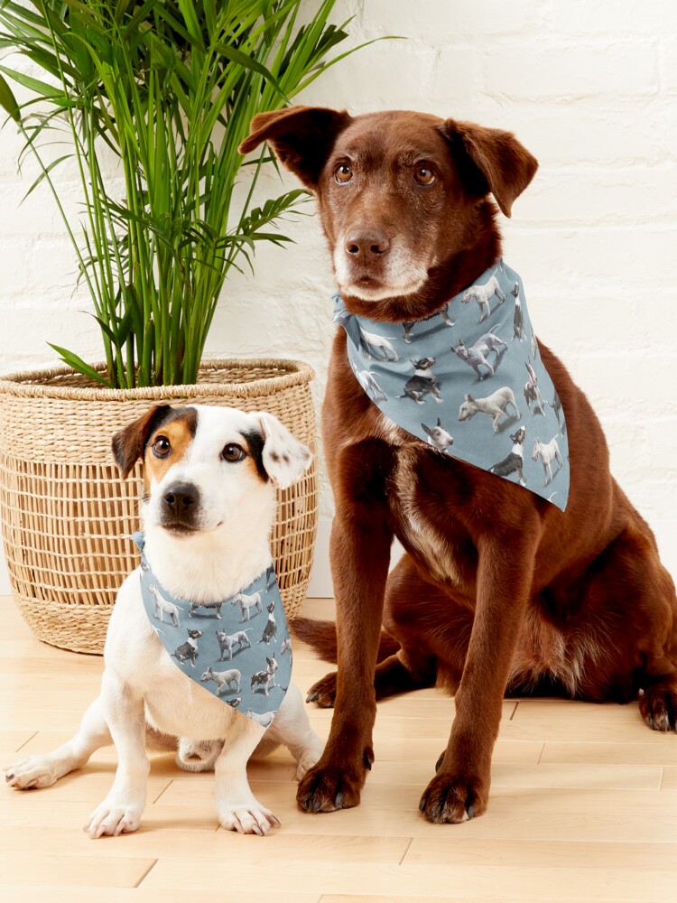 Staffy bandana hot sale