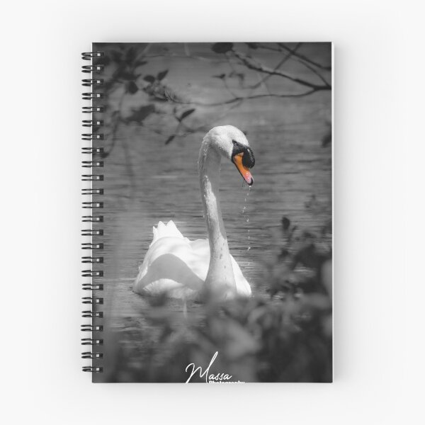 Item preview, A beautiful Swan framed by nature designed and sold by PhotographMassa.