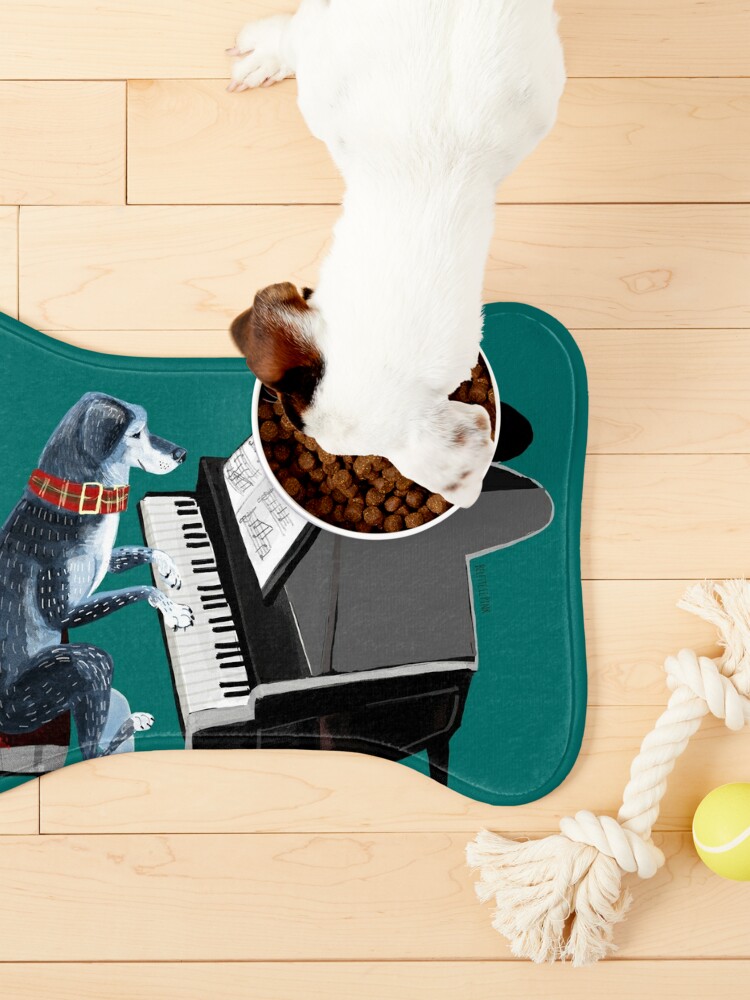 Discover Piano lesson with Angel - Pet Bowls Mat