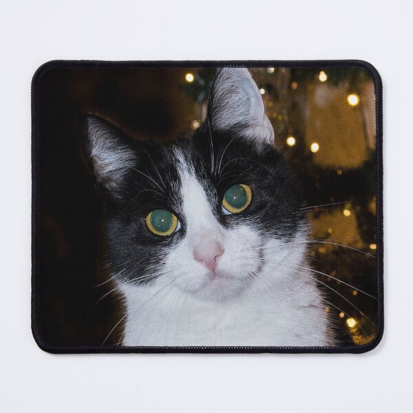 Item preview, Cute Christmas black and white cat designed and sold by HaleyRedshaw.