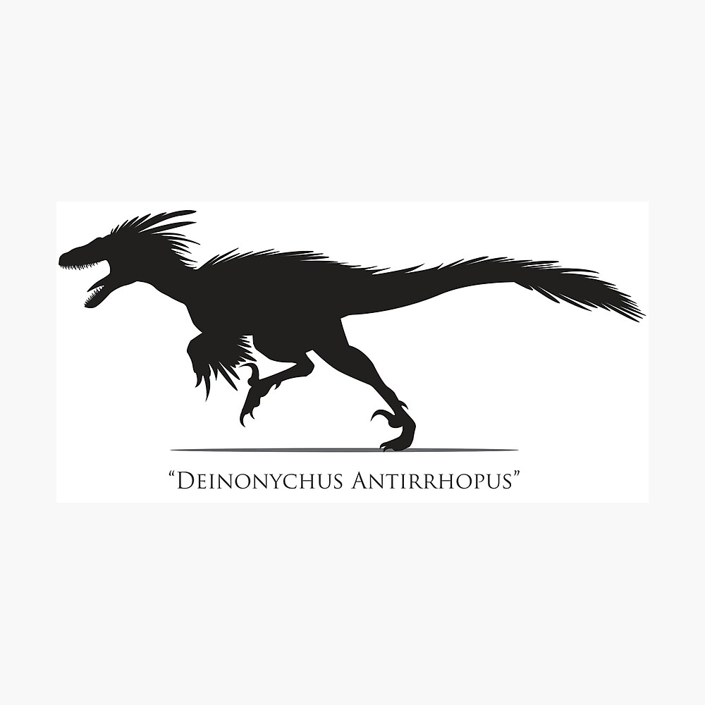 raptor deinonychus