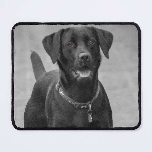 Item preview, Stunning Black Labrador dog designed and sold by HaleyRedshaw.