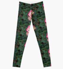 Ecuador. Rose from the Rose Plantation. Leggings