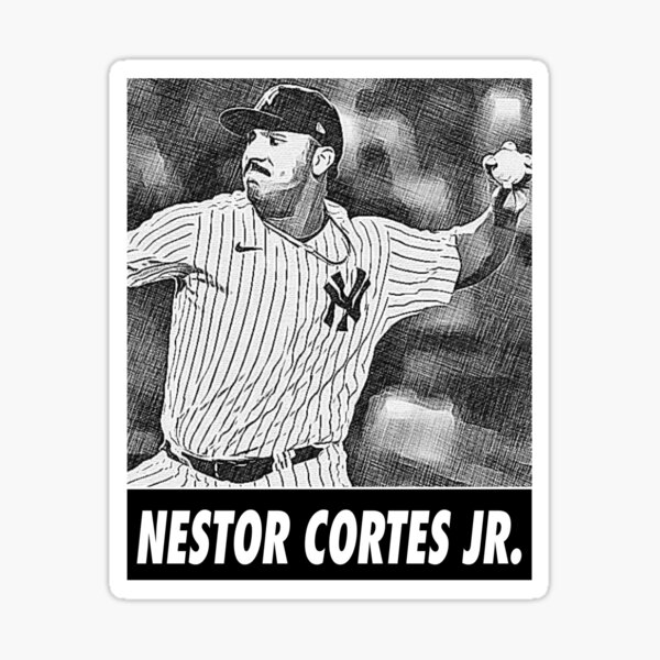 Nestor Cortes Jr, Nasty Nestor V6