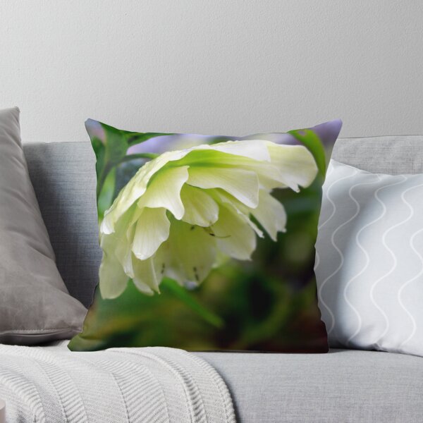 Artikelvorschau, Harlow Carr Hellebore entworfen und verkauft von Plants+.