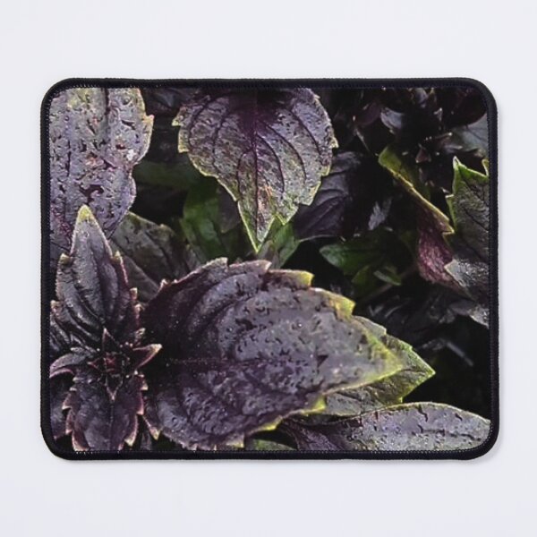 Item preview, Purple green leaves designed and sold by Wavytarot.