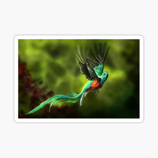 Resplendent Quetzal Gifts Merchandise For Sale Redbubble