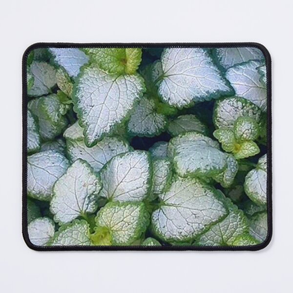 Item preview, Green and white leaves designed and sold by Wavytarot.