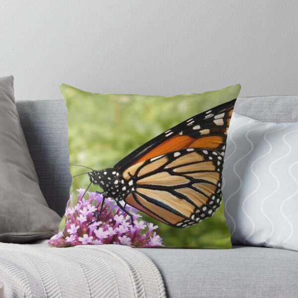 Artikelvorschau, Monarch auf einer Blume entworfen und verkauft von ByCollins.