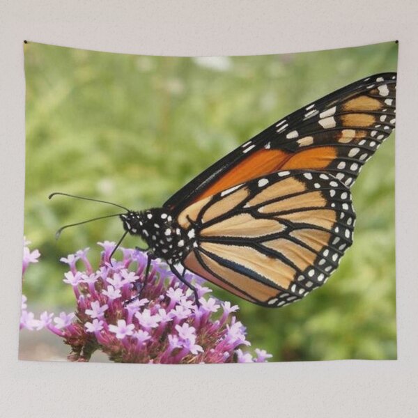 Item preview, Monarch on a Flower designed and sold by ByCollins.