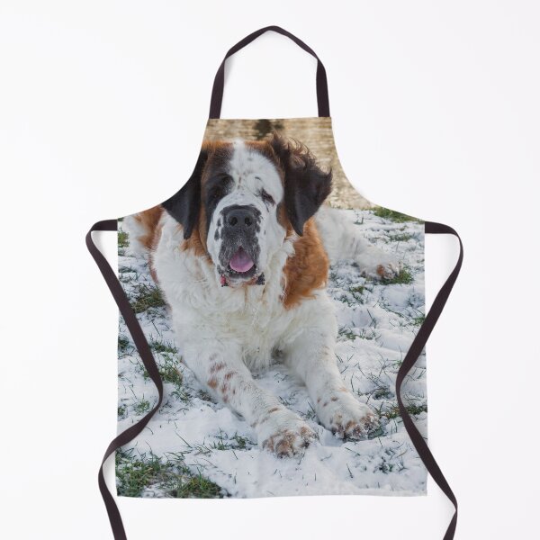 Item preview, Beautiful Saint Bernard dog lying in the snow designed and sold by HaleyRedshaw.