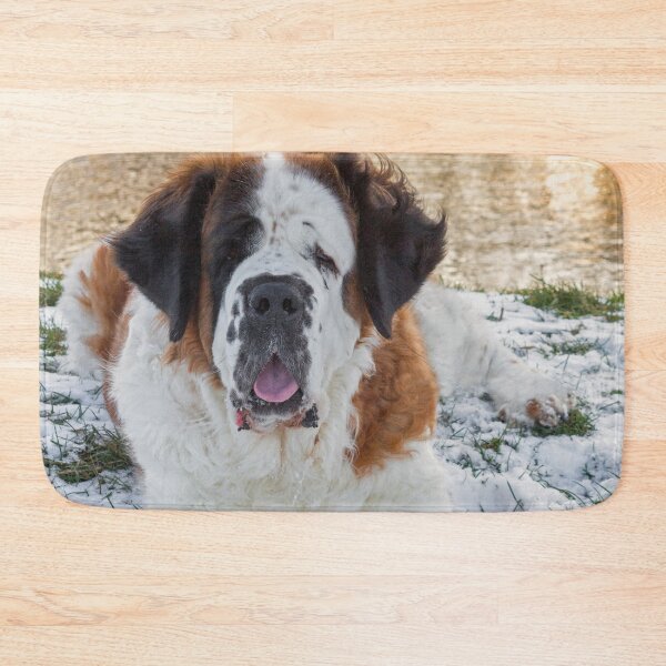 Item preview, Beautiful Saint Bernard dog lying in the snow designed and sold by HaleyRedshaw.