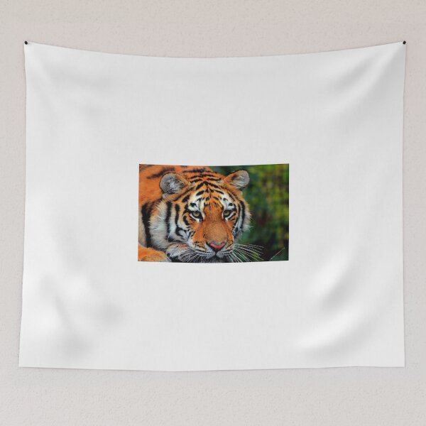 Item preview, LIFE CAN BE CRUEL!!! designed and sold by Larry Trupp.