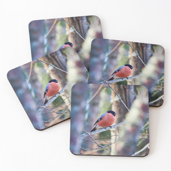 Item preview, Bright pastels. Eurasian bullfinch designed and sold by Jouko Lehto Photography.