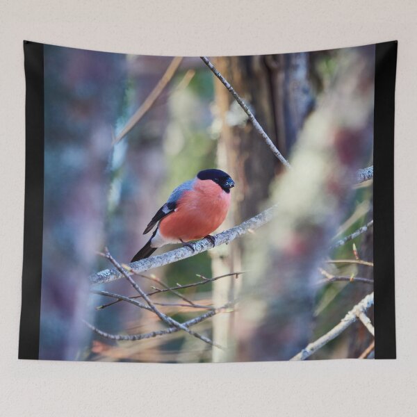 Item preview, Bright pastels. Eurasian bullfinch designed and sold by Jouko Lehto Photography.