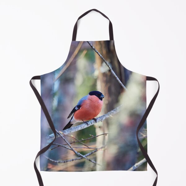 Item preview, Bright pastels. Eurasian bullfinch designed and sold by Jouko Lehto Photography.