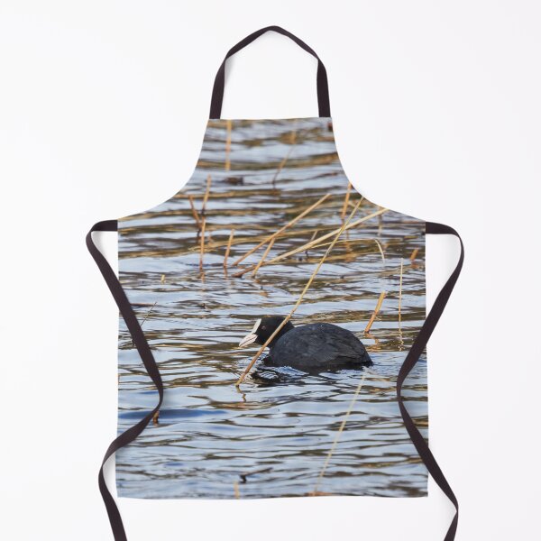 Item preview, Suspicious minds. Eurasian coot designed and sold by Jouko Lehto Photography.