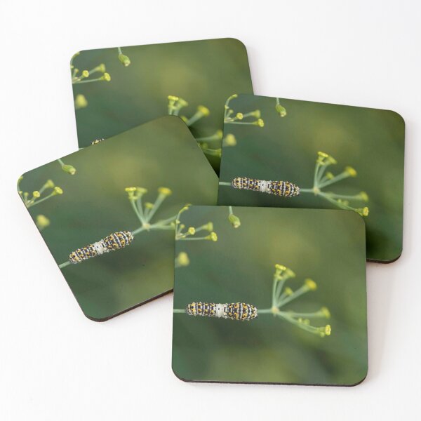 Item preview, black swallowtail caterpillar on dill designed and sold by sarahjeanphoto.