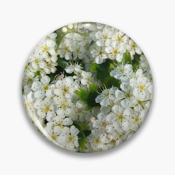Item preview, May Blossom in Spring Sunshine designed and sold by Violaman.