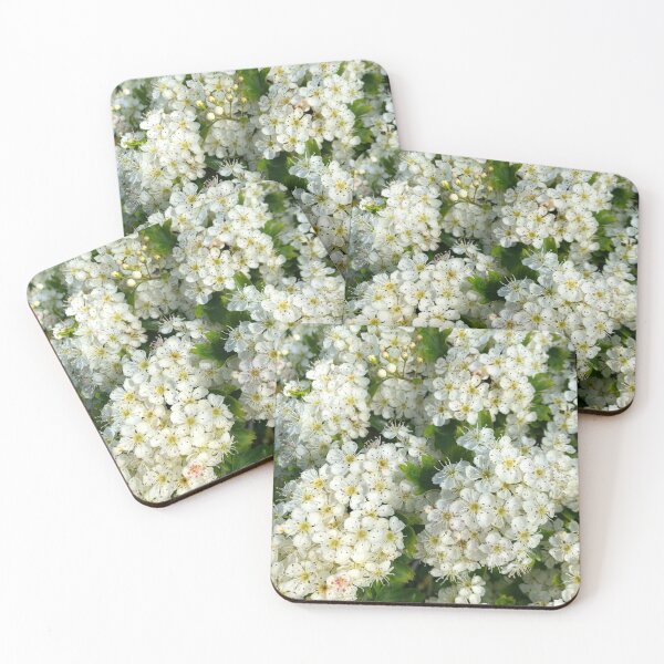 Item preview, May Blossom in Spring Sunshine designed and sold by Violaman.