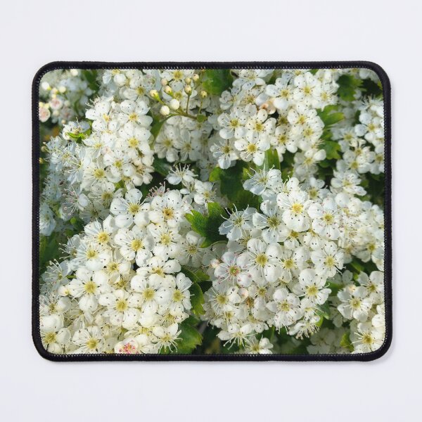 Item preview, May Blossom in Spring Sunshine designed and sold by Violaman.