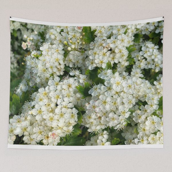Item preview, May Blossom in Spring Sunshine designed and sold by Violaman.