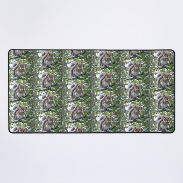 Item preview, Grey Squirrel Eating Sycamore Seeds Photograph designed and sold by naturegallery.