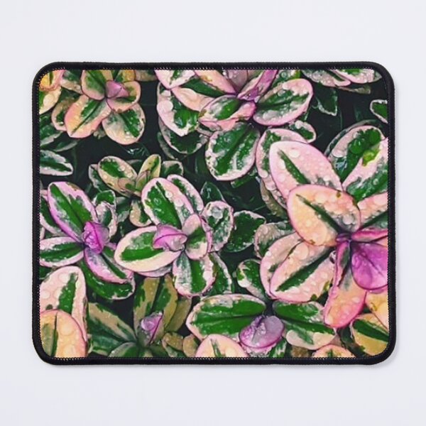Item preview, Purple and green leaves designed and sold by Wavytarot.