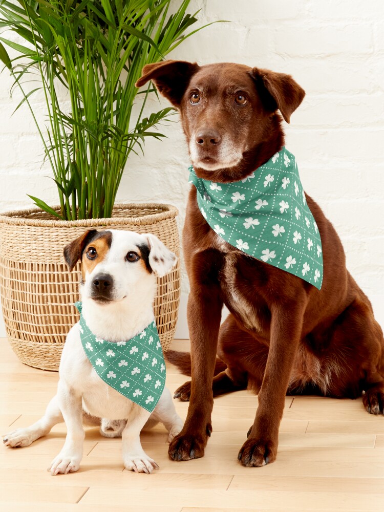 Alternate view of Shamrock On! - emerald Pet Bandana