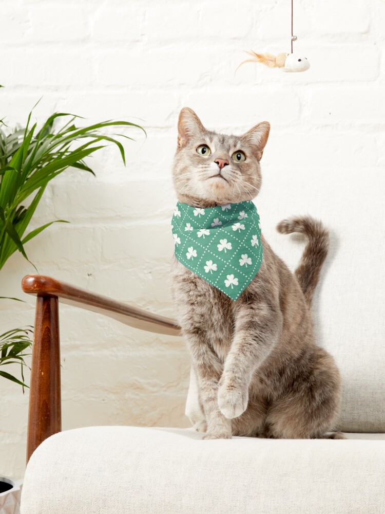 Alternate view of Shamrock On! - emerald Pet Bandana