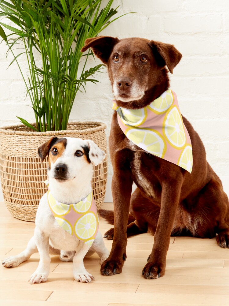 Alternate view of Lemon pattern Pet Bandana