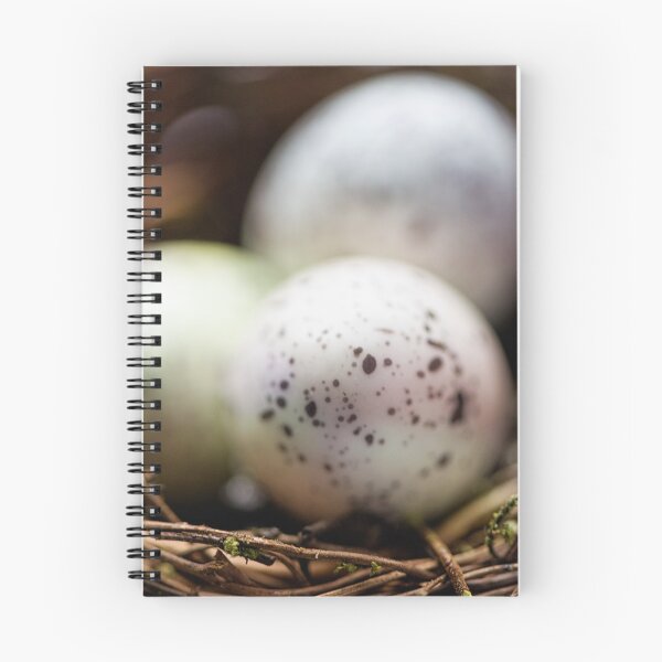 Item preview, Beginnings designed and sold by Tracy Riddell.
