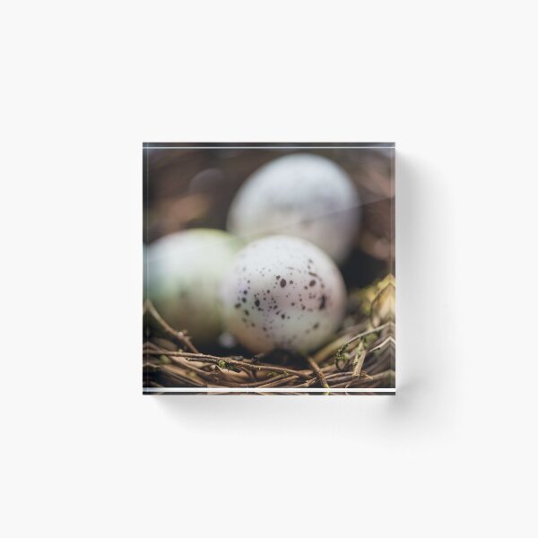 Item preview, Beginnings designed and sold by Tracy Riddell.