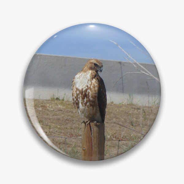 Item preview, Hawk Watching designed and sold by ReccaRedscale.