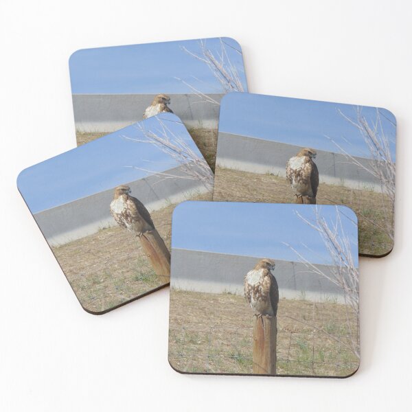 Item preview, Hawk Watching designed and sold by ReccaRedscale.