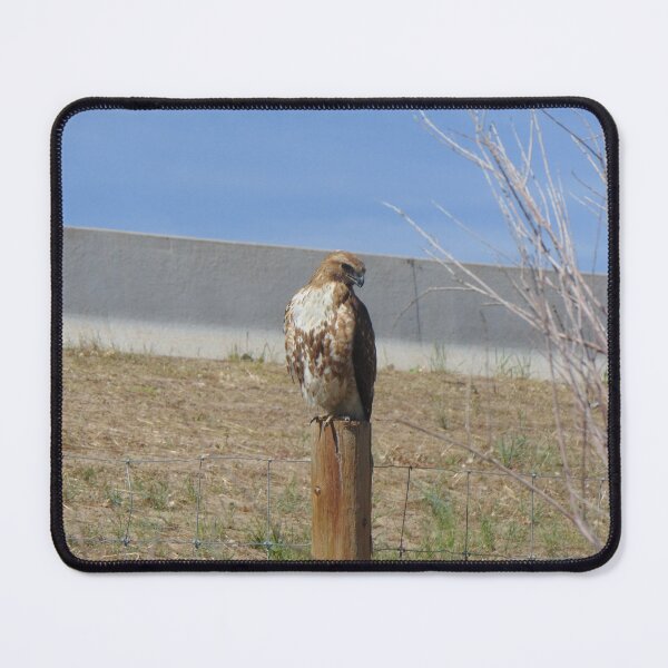 Item preview, Hawk Watching designed and sold by ReccaRedscale.