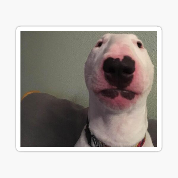 Item preview, @PupperNelson: "Walter" Original designed and sold by trending-staff.