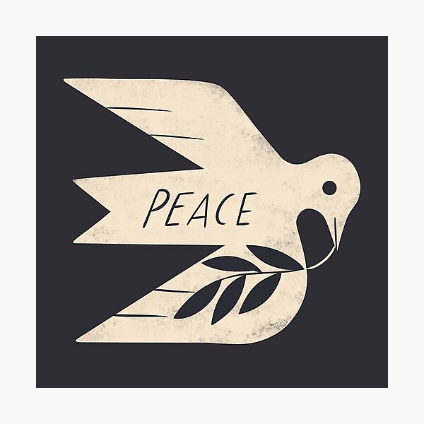 Peace Dove Photographic Print