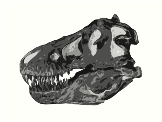 amnh 5027 skull