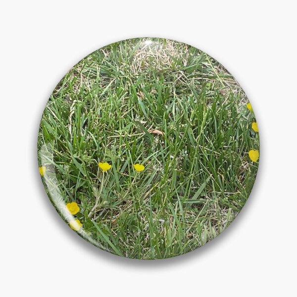 Item preview, Buttercups designed and sold by mmcgui12gmu.