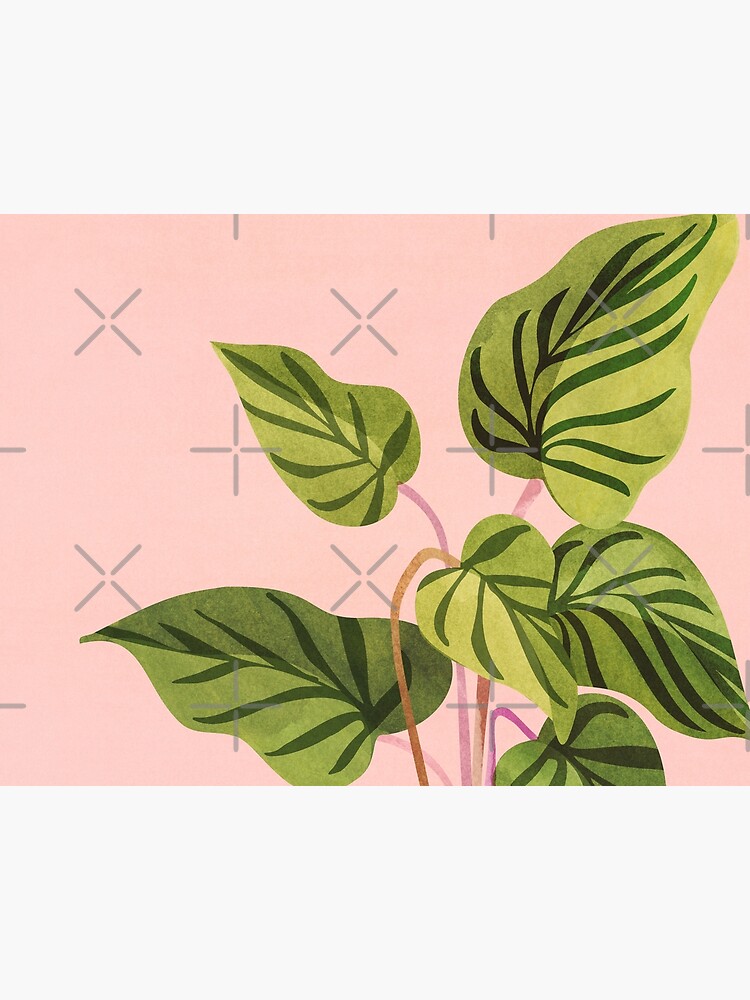 Artwork view, Tropical Rising Pink and Green Plant designed and sold by moderntropical