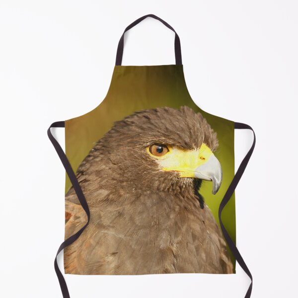 Item preview, Harris Hawk designed and sold by MartinPhotos.