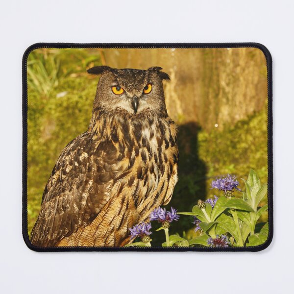 Item preview, Eagle Owl designed and sold by MartinPhotos.